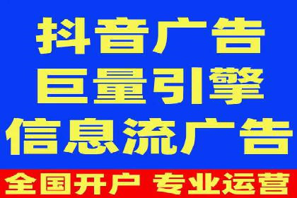 行业领先的SEM投放效果案例解析