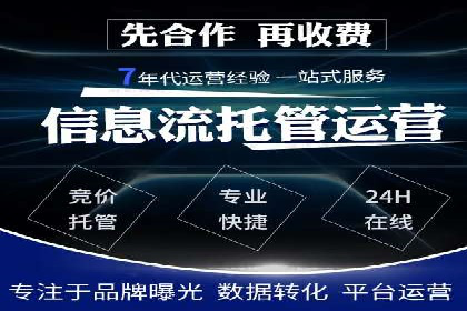 竞价广告的投放技巧与网络推广的实践